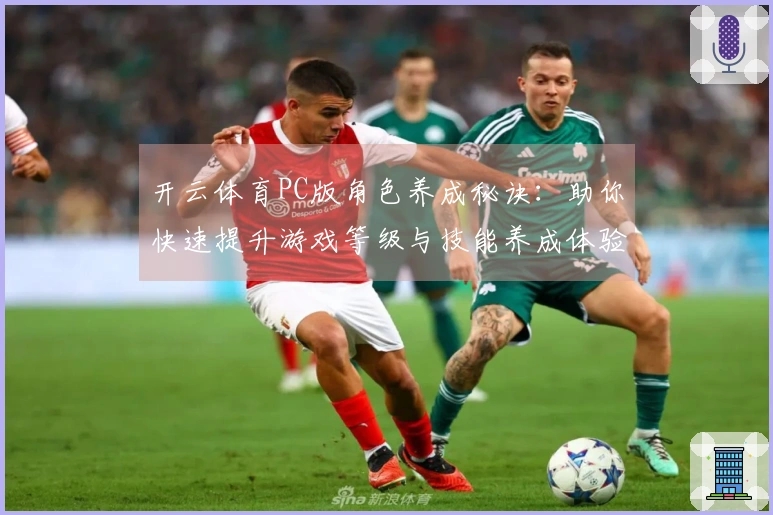 开云体育PC版角色养成秘诀：助你快速提升游戏等级与技能养成体验